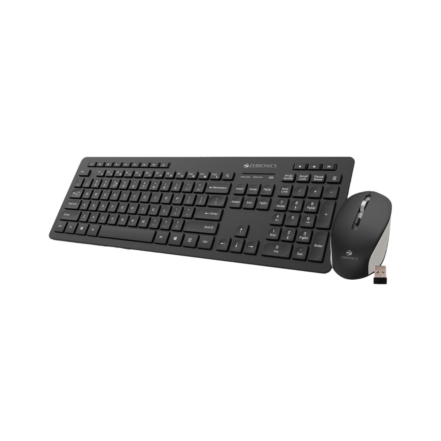 ZEBRONICS Zeb-Companion 500 Keyboard and Mouse Combo Wireless Desktop Keyboard  (Black)