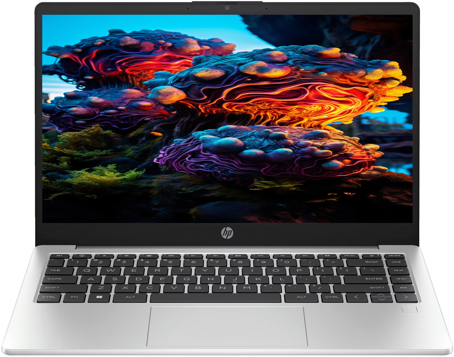 Image of HP 250 G10 Backlit (2025) Professional Intel Core i5 13th Gen 1334U - (8 GB /512 GB SSD /Windows 11 Pro) 250 G10 Thin and Light Laptop (15.6 Inch, Turbo Silver, 1.5 kg, With MS Office)
