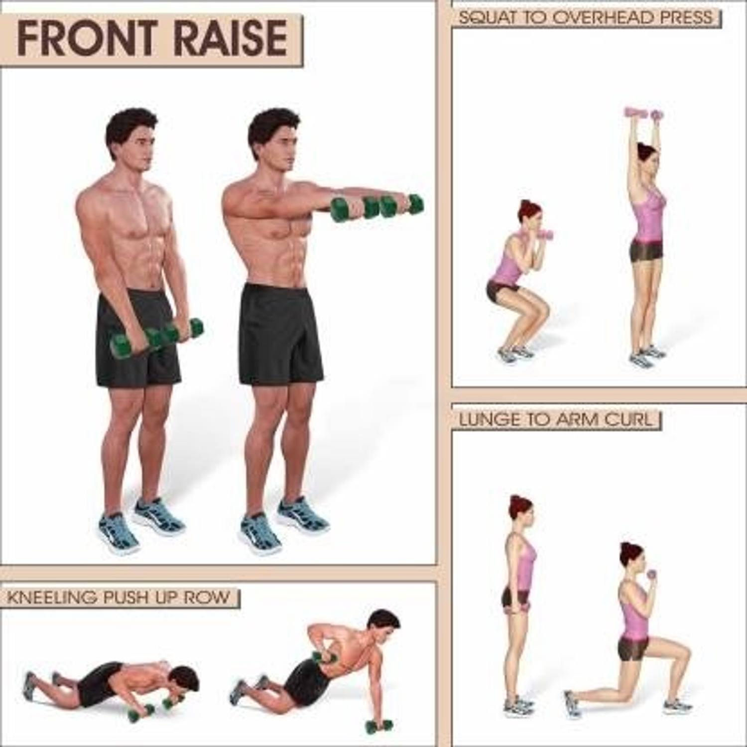Image of GYM KART Premium Vinyl Dumbbells (5 Kg *2 PCs) for Men and Women Fixed Weight Dumbbell (10 kg)