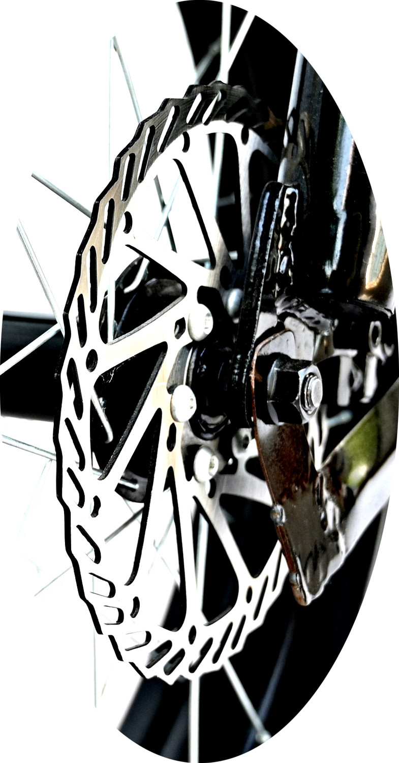 Image of WAYA Zulu 350 20 inches Single Speed Lithium-ion (Li-ion) Electric Cycle