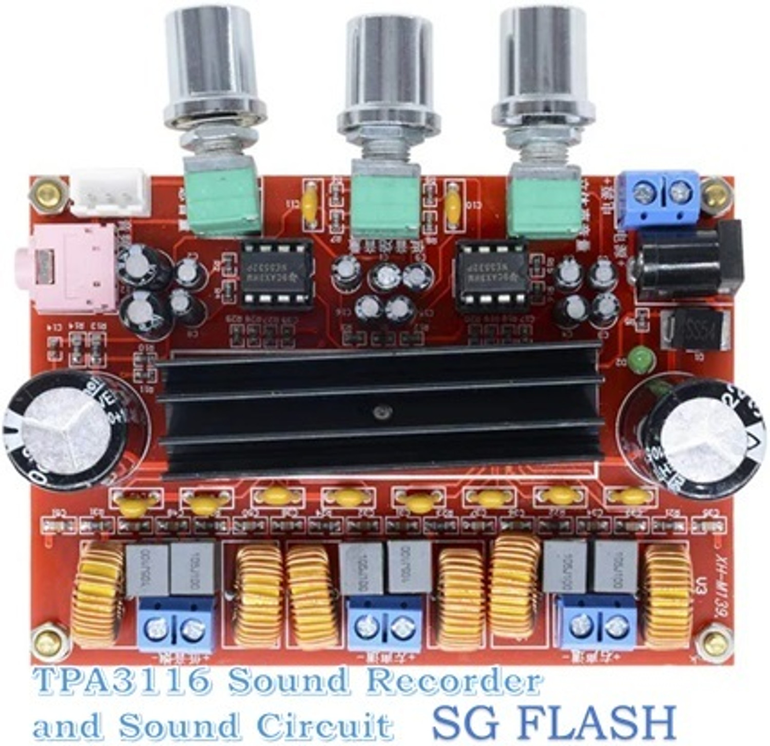 Image of SG Flash PREMIUM QULITY TPA3116 Sound Recorder and Sound Circuit Power Supply Electronic Hobby Kit