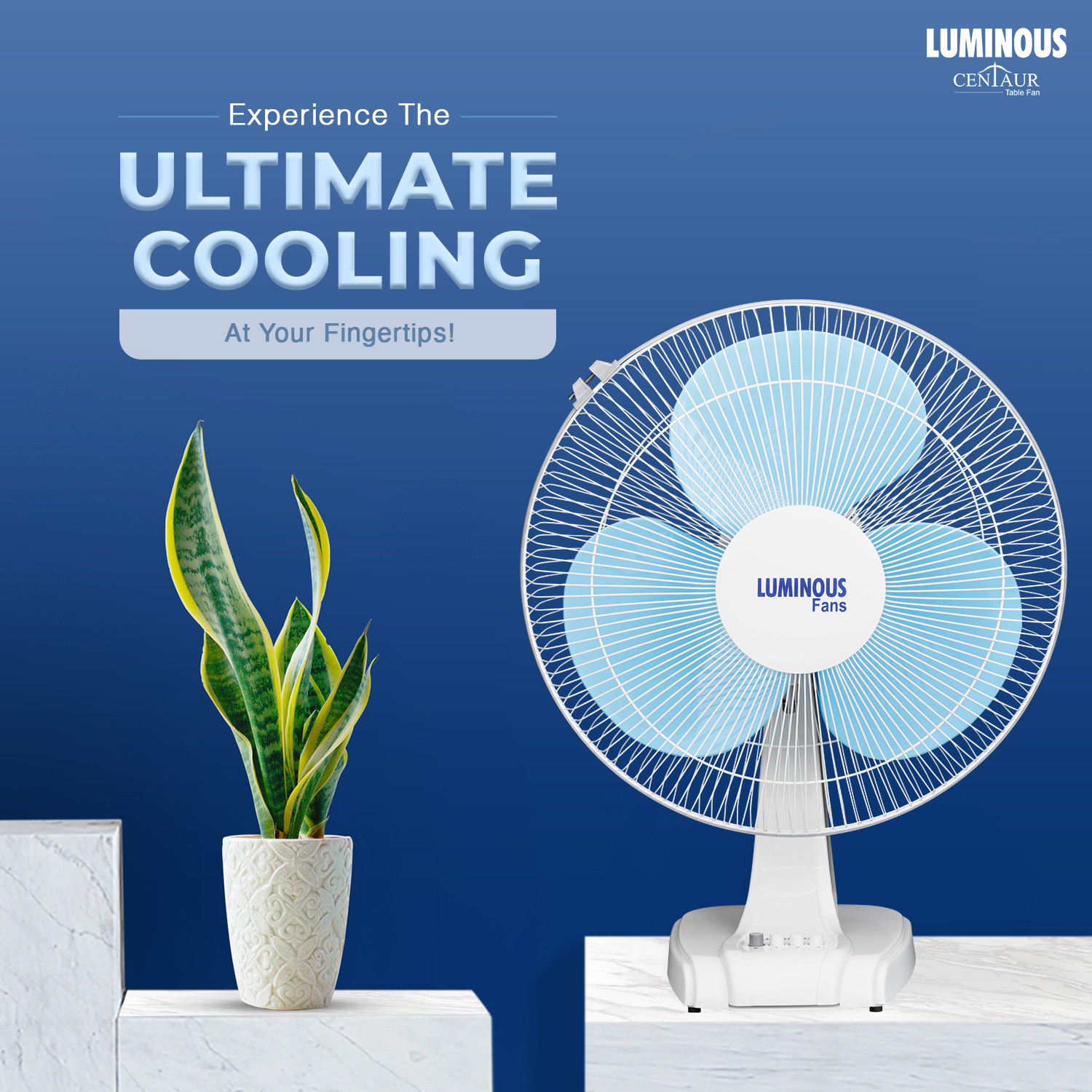 Image of RR Signature Centaur 400 mm 3 Blade Table Fan (Blue | Pack of 1)