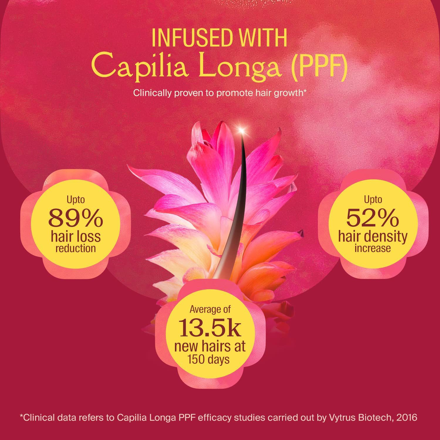 Image of ARATA Grow+ Hair Regrowth Kit | Turmeric Hair Oil & Scrub |Boosts Hair Growth