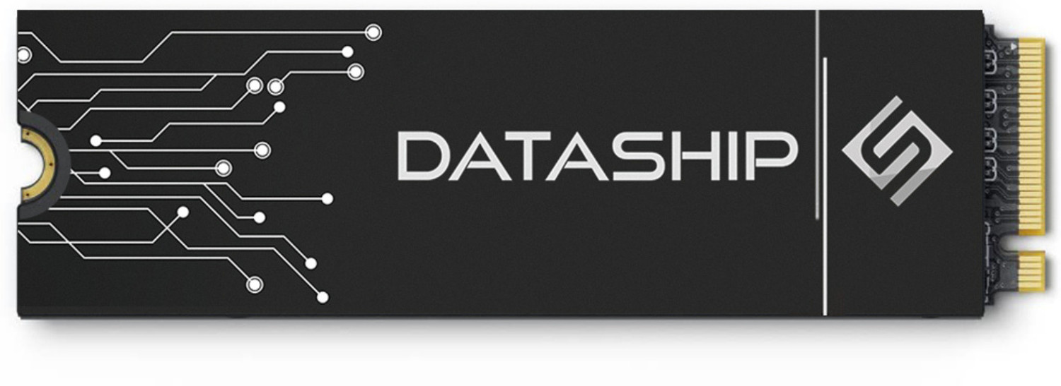 Starkway DATASHIP 8 TB Desktop, Laptop, Servers Internal Solid State Drive (SSD) (DATASHIP8TB)