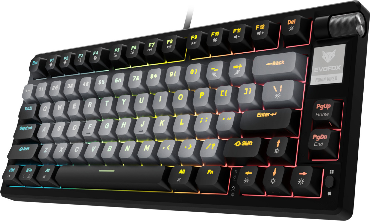EVOFOX Ronin TKL RGB Mechanical Keyboard – Wired USB Gaming