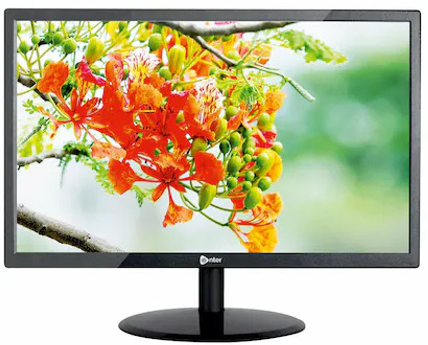Image of AOC E943SWNK 18.5 inch LED Backlit LCD Monitor (Response Time: 5 ms, 75 Hz Refresh Rate)