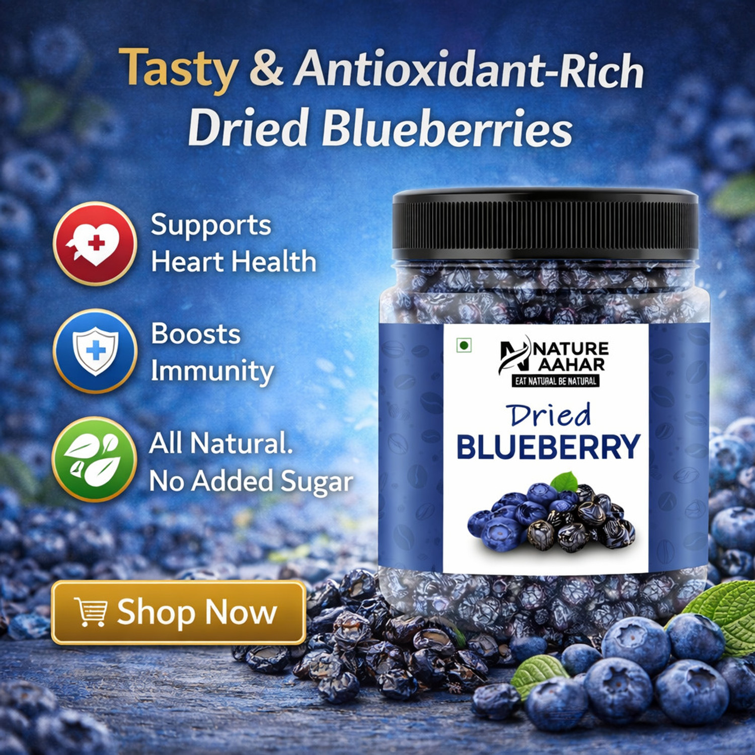 Image of Nature Aahar Blueberry Plum Dry Fruits | Dried Blueberry| Natural Blue Berry, Dried Fruits Blueberry (1 x 250 g)
