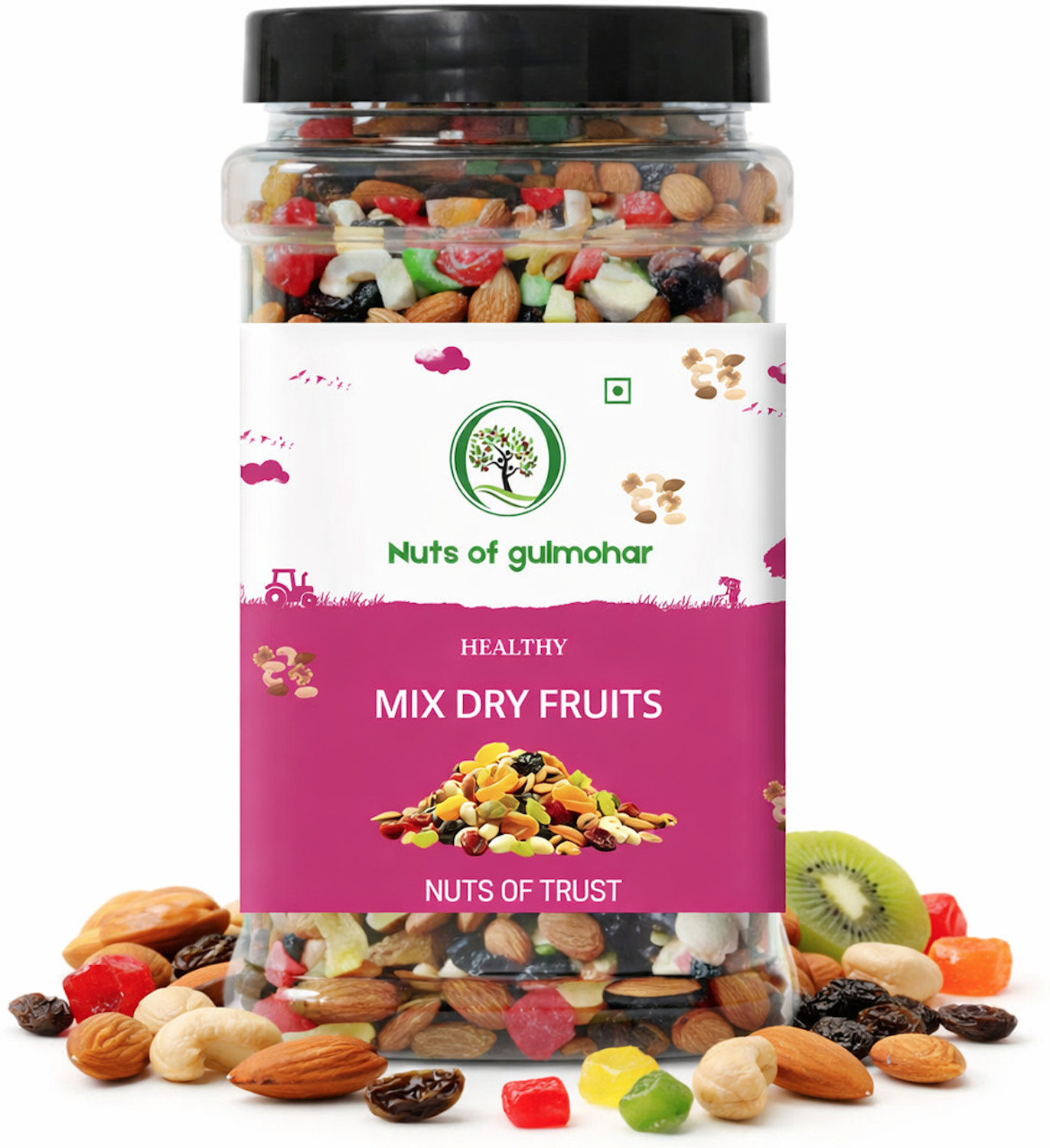 Image of NatureSpun Healthy Nutmix 500g | Almonds, Cashews, Raisins, Dates, Amla, Apricots, Assorted Seeds & Nuts (1 x 500 g)