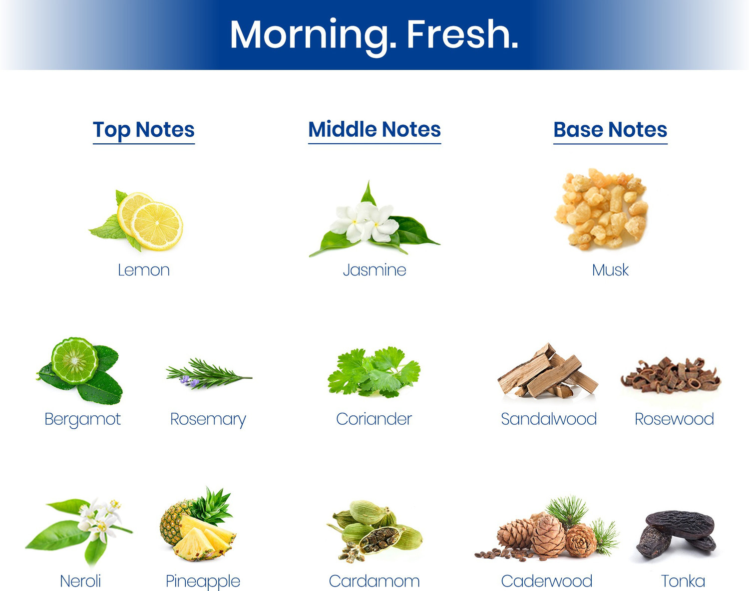 Image of BOMBAY SHAVING COMPANY Tokyo Perfume| Premium Fragrance Gift| Fresh & Woody Eau de Parfum - 100 ml