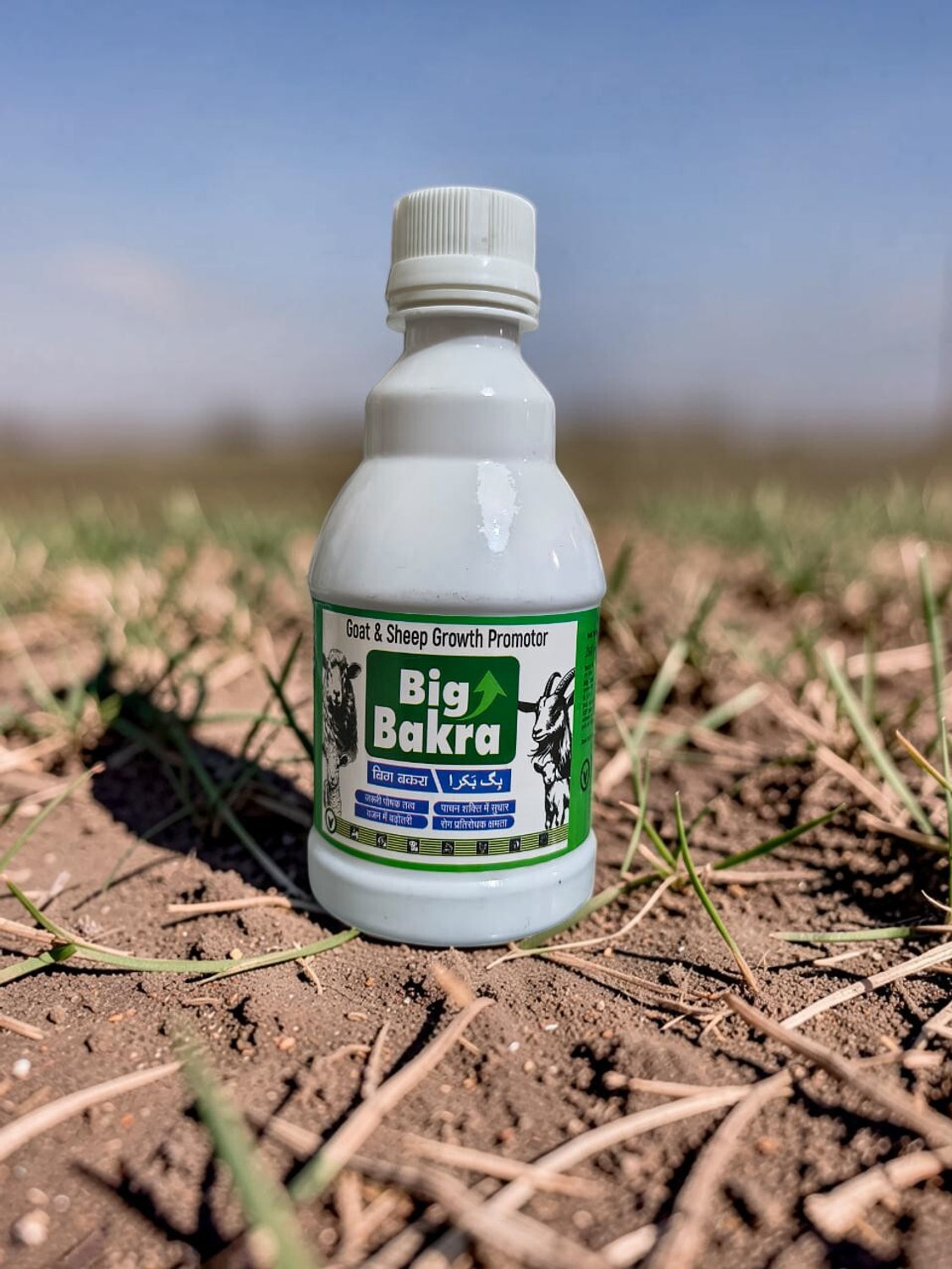 Image of BIGBAKRA Goat & Sheep Growth Promotor || Pet Health Supplements (250 ml)