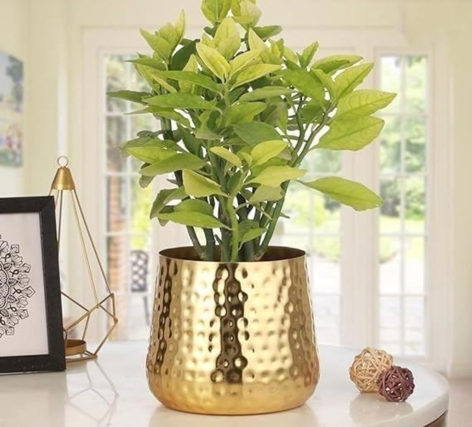 Image of ecofynd 6 Inches Alle metal plant pot with stand for indoor outdoor home decor ( Set of 2 ), Modern style planter set Plant Container Set (Pack of 2, Metal)