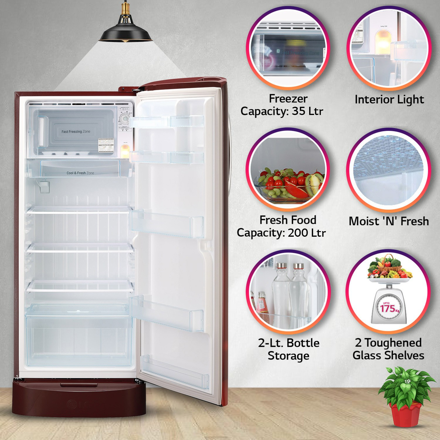 Image of LG 224 L Direct Cool Single Door 4 Star Refrigerator with Base Drawer