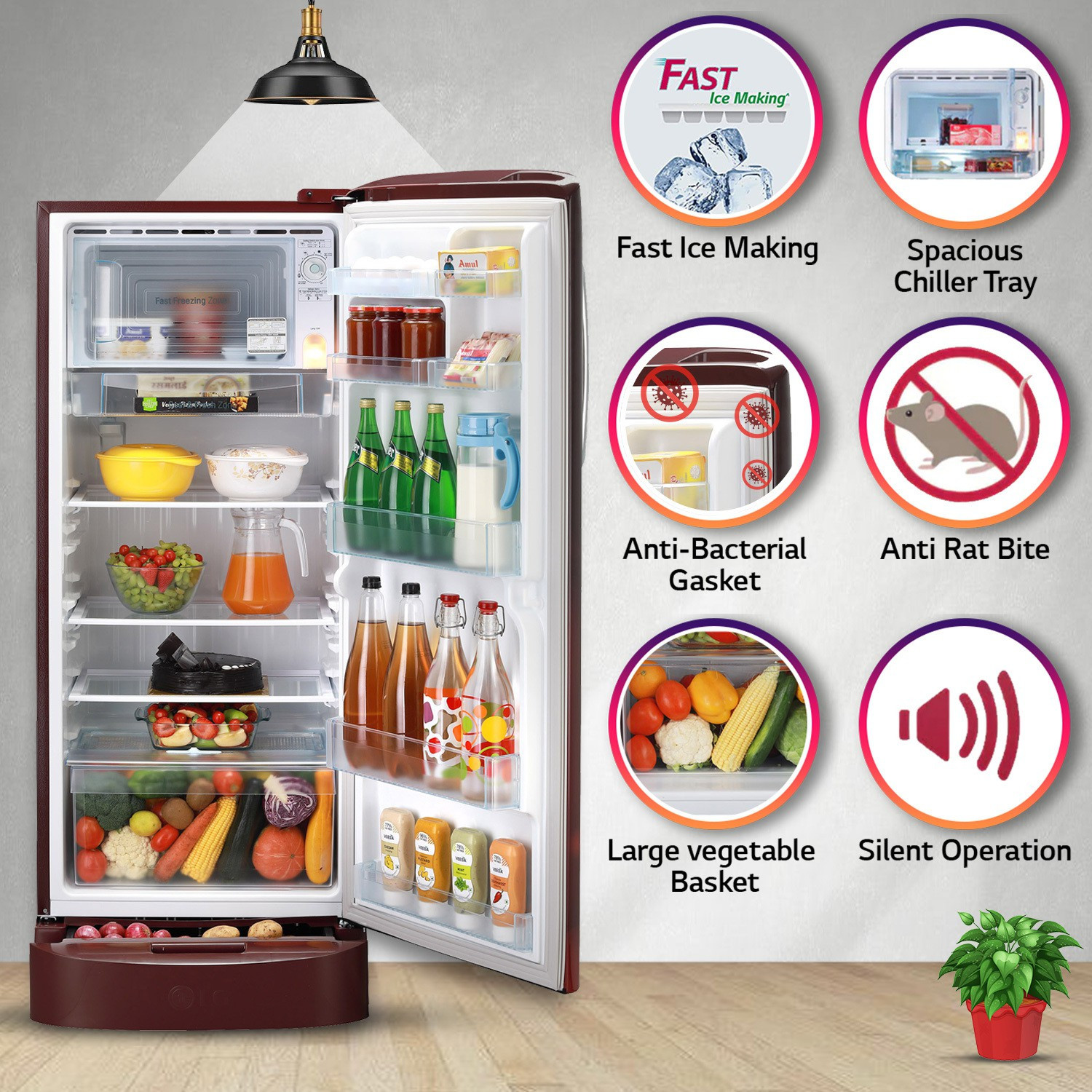 Image of LG 224 L Direct Cool Single Door 4 Star Refrigerator with Base Drawer