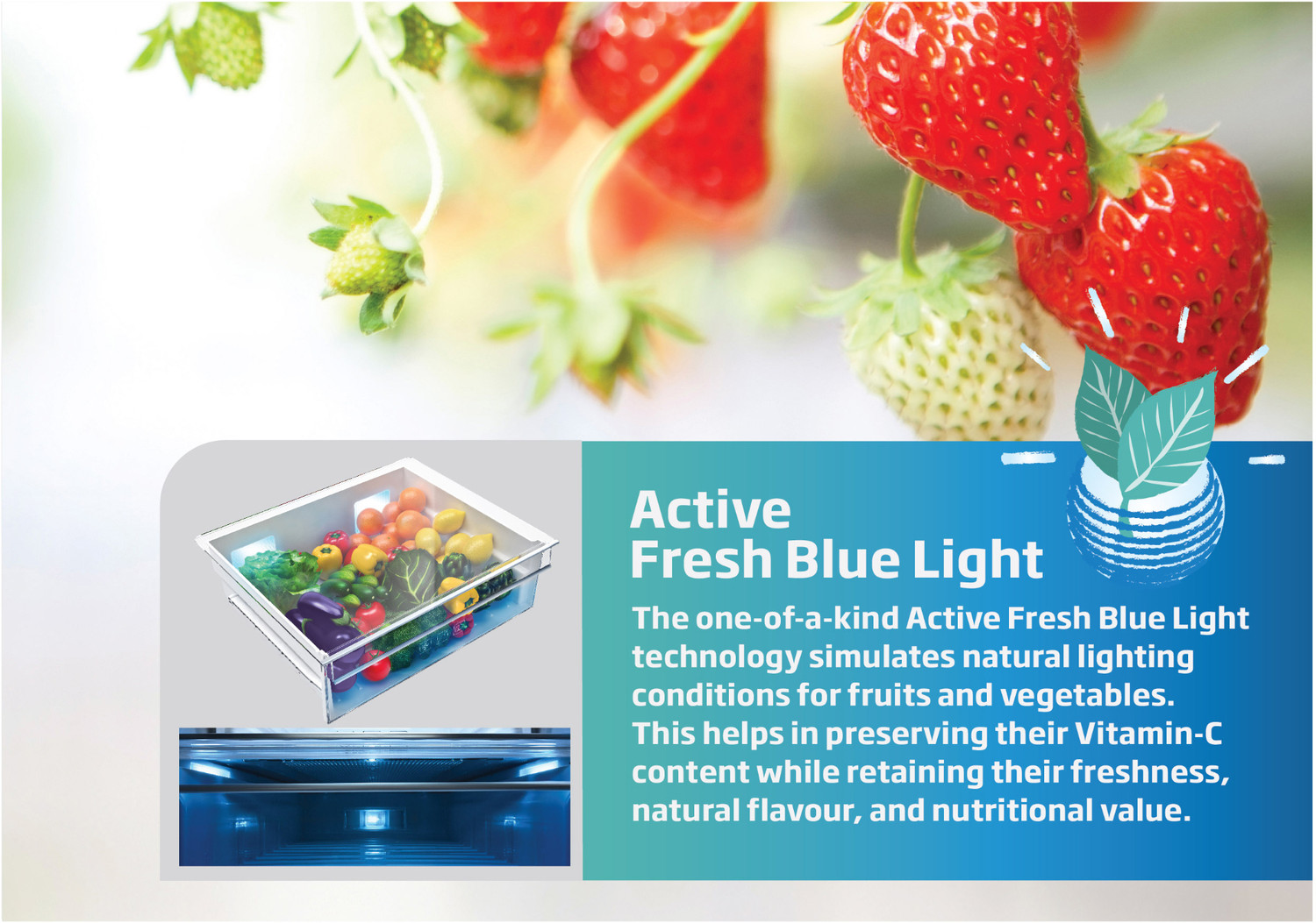 Image of Voltas Beko by A Tata Product 340 L Frost Free Double Door Top Mount 2 Star Refrigerator