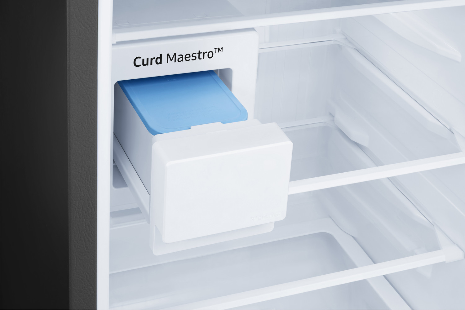 SAMSUNG 224 L Frost Free Double Door 2 Star Refrigerator with Curd