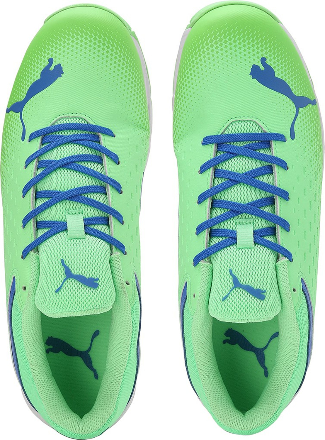 Image of PUMA Spike 22.2 Cricket Shoes For Men (Green , 7)