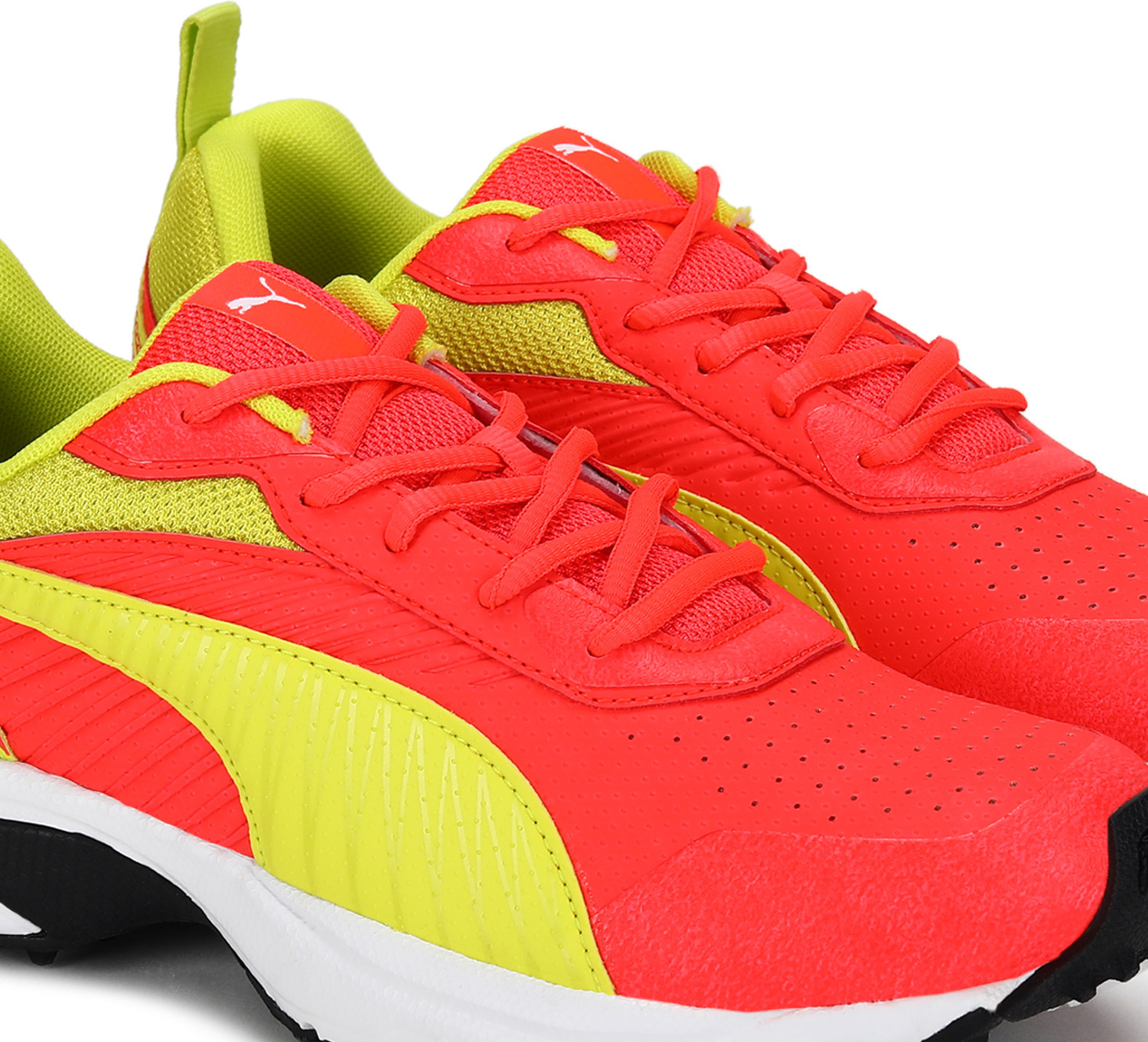 Puma cricket sale shoes for men