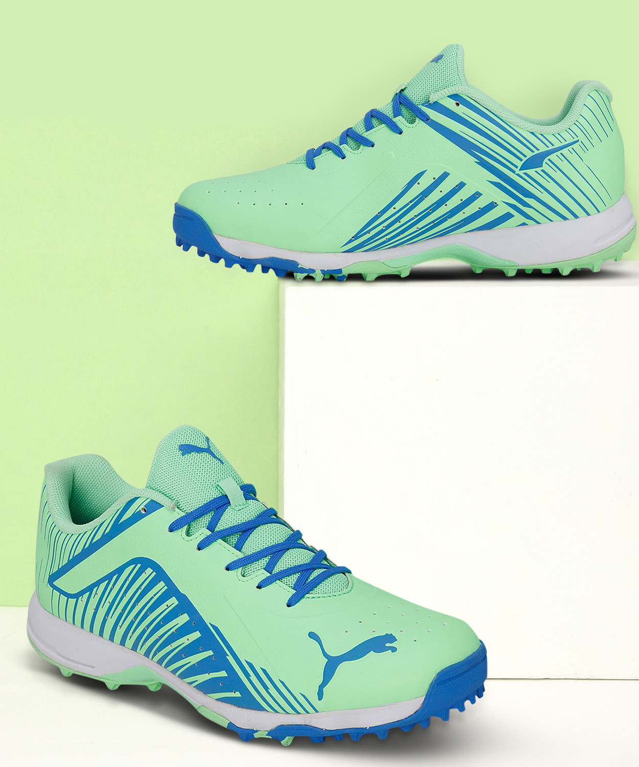 Puma rubber discount cricket shoes