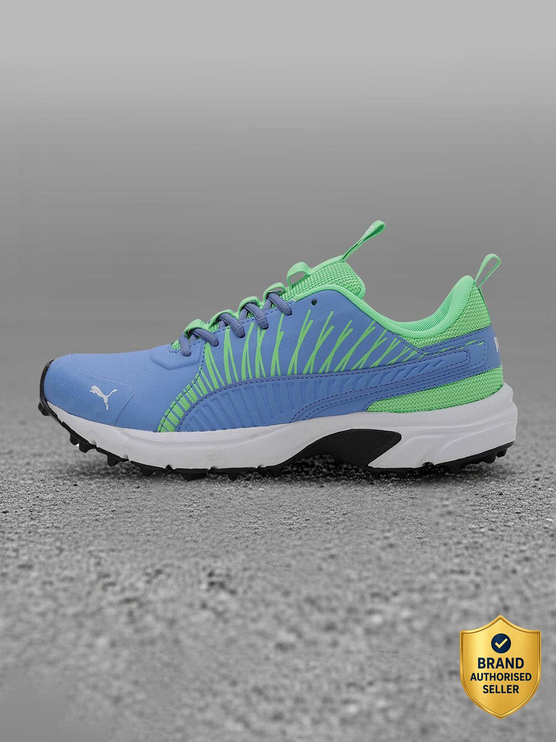 PUMA Cricket Square Cricket Shoes For Men