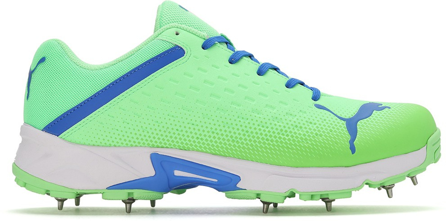 Image of PUMA Spike 22.2 Cricket Shoes For Men (Green , 7)