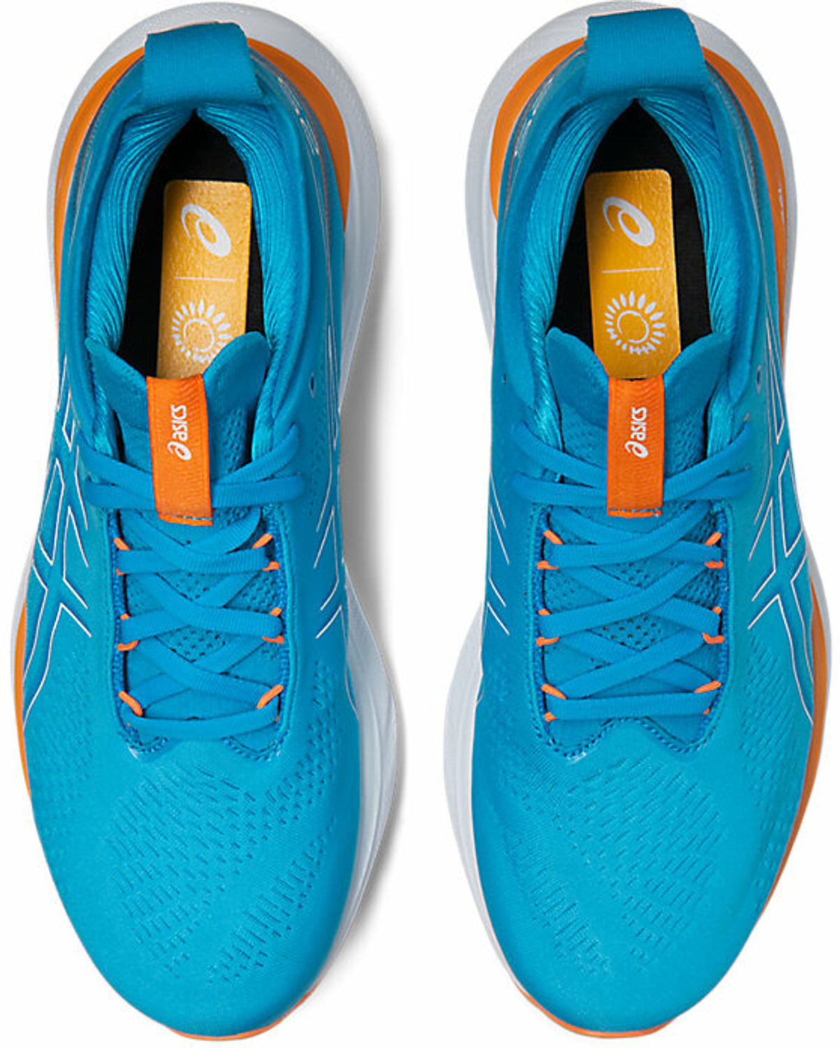 Image of Asics GEL-NIMBUS 25 Running Shoes For Men