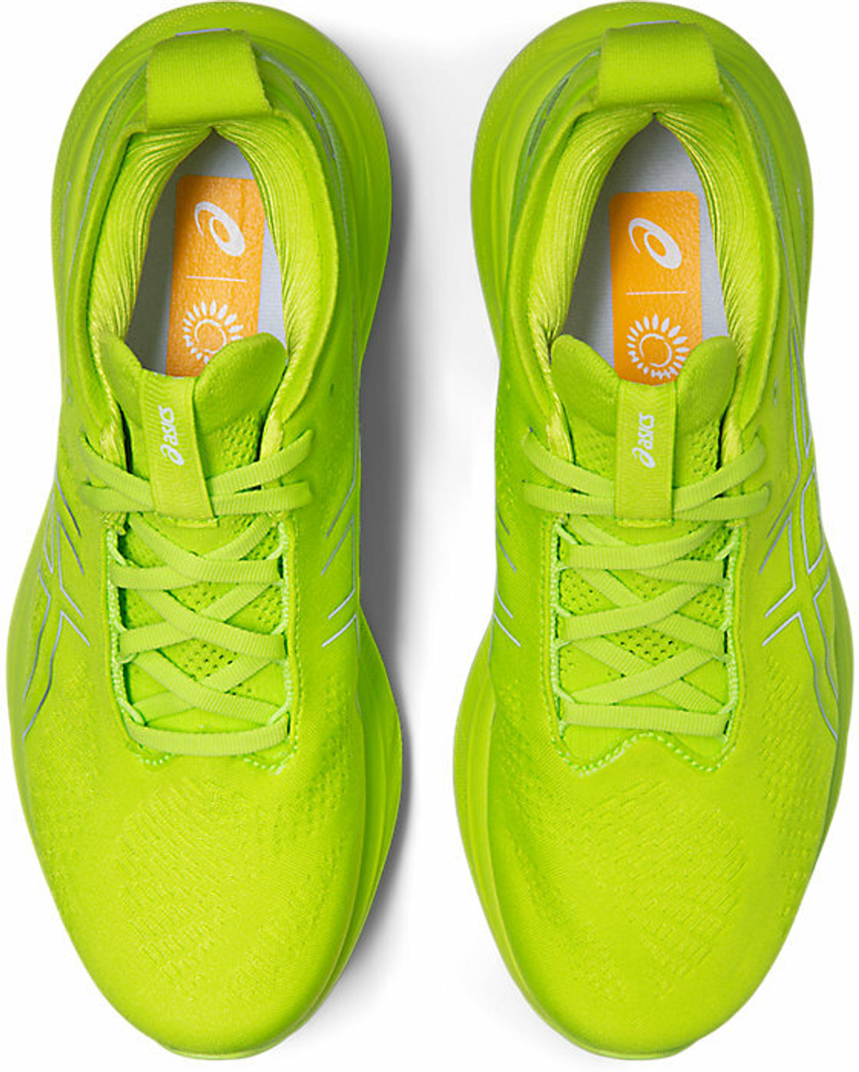 Image of Asics GEL-NIMBUS 25 Running Shoes For Men