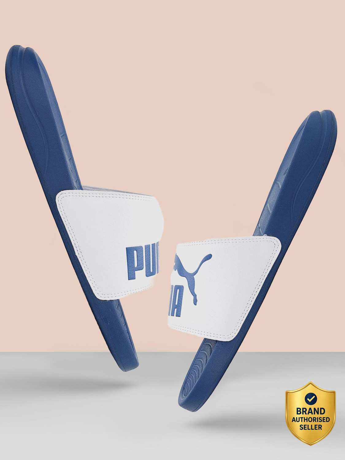 PUMA Slides