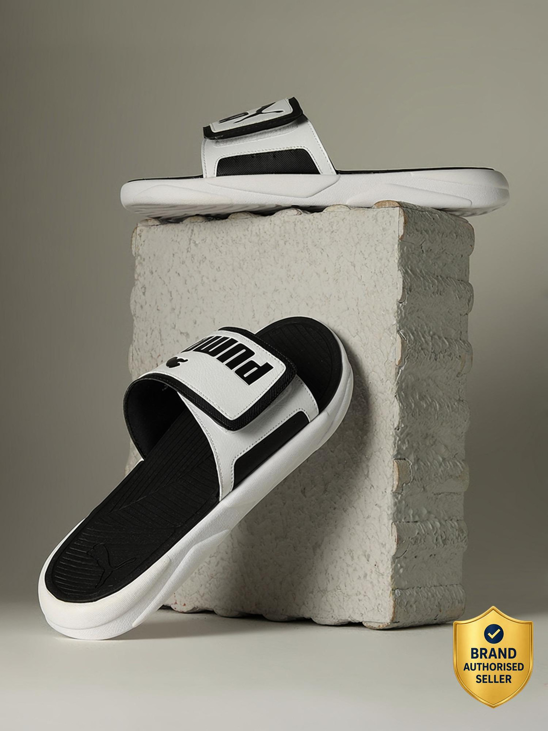 PUMA Slides