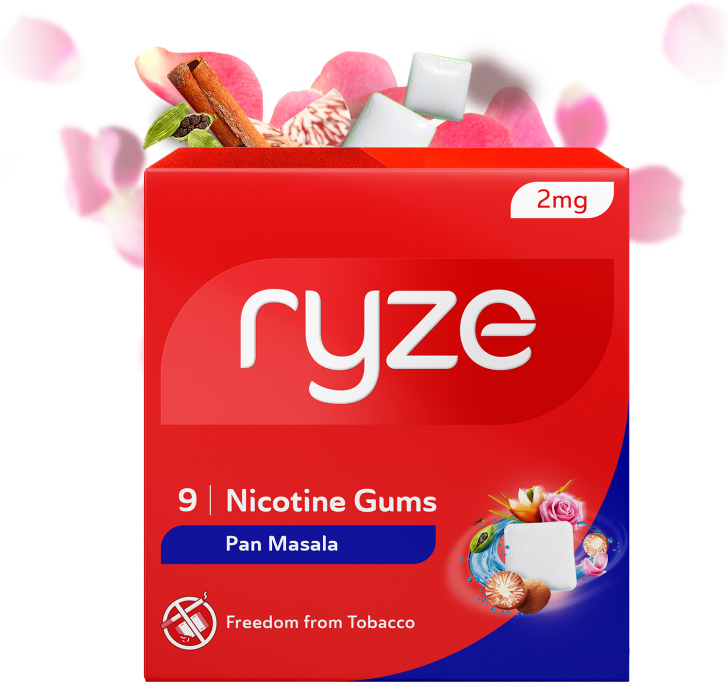 Ryze Nicotine Gums 2mg (Paan Masala) - Combo Pack of 3 x 9 Gum Blister