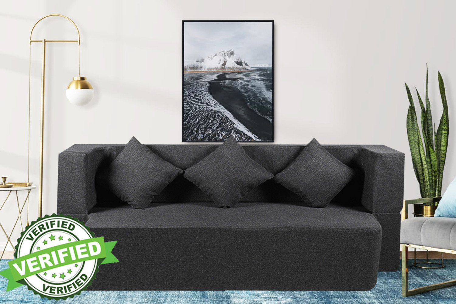 Image of Dr Smith Sofa Cum Bed with Armrest, Velvet Fabric Couch for Living Room 3 Seater Single Foam Fold Out Sofa Cum Bed (Finish Color - Brown Delivery Condition - Pre-assembled)