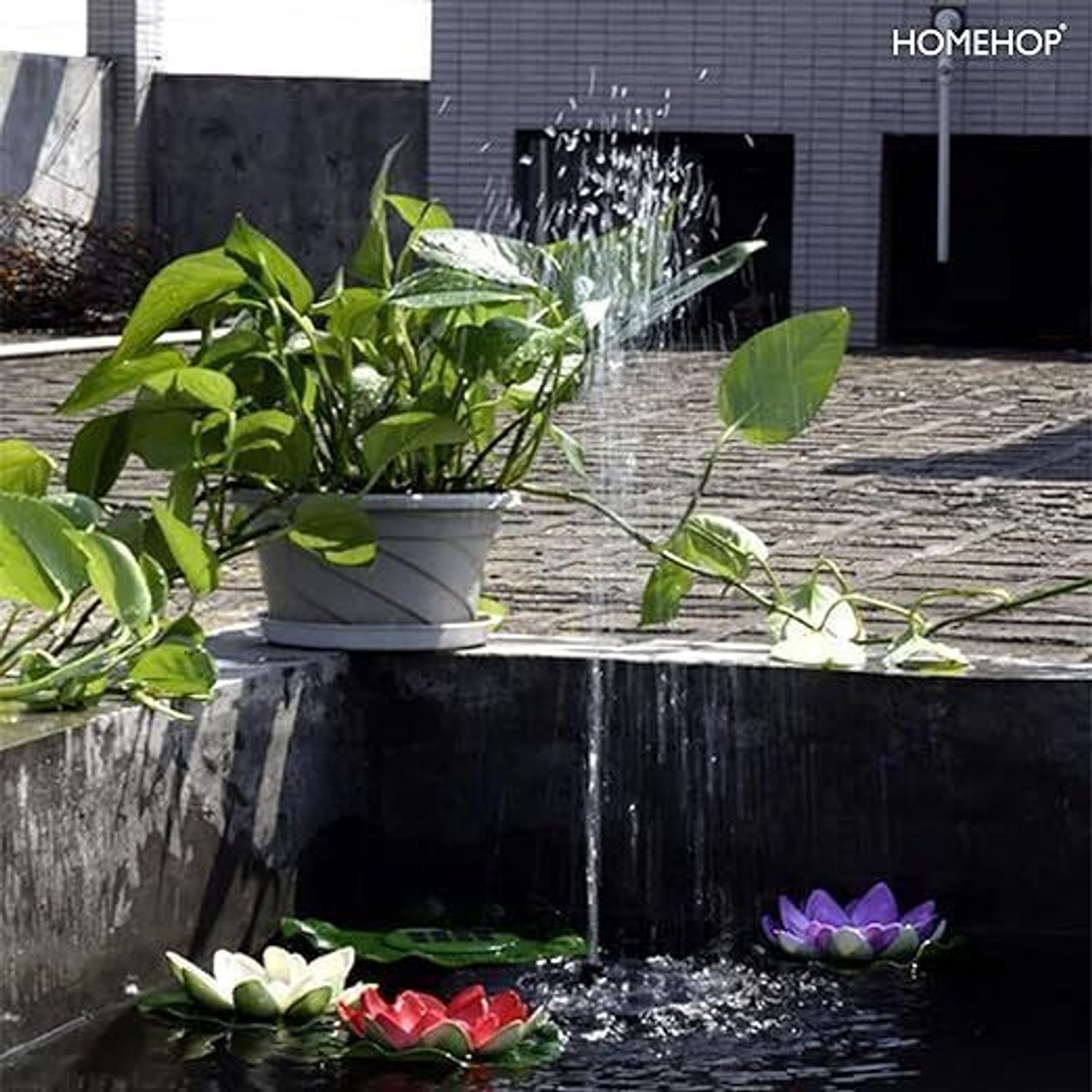 Image of Homehop Solar Water Fountain with 12V Submersible Pump Panel for Garden and Aquarium Solar Water Pump