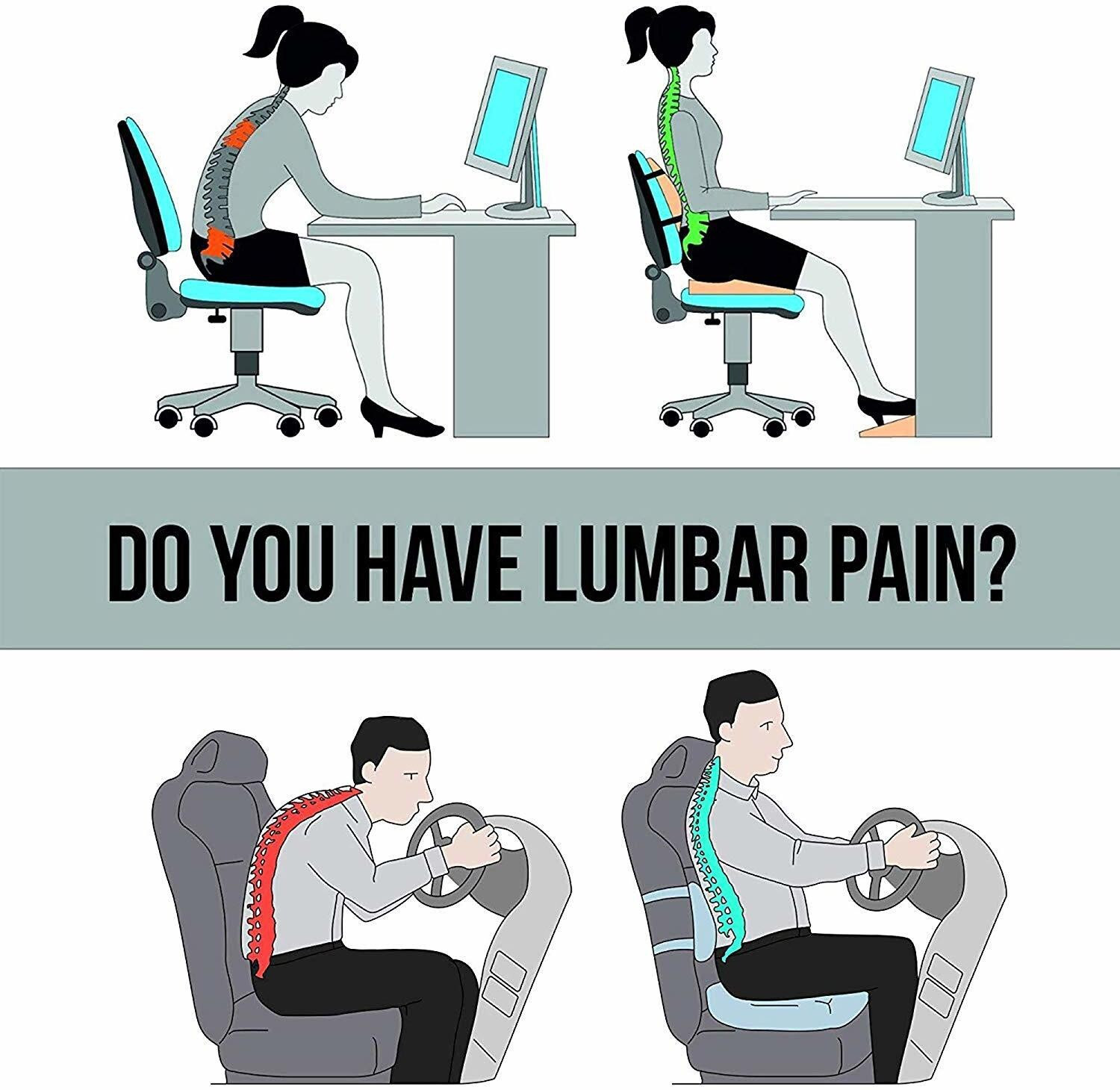 Image of Tender Care Lumbar Support for Office Chair | Back Pillow for Car | Provides Low Back Support Back / Lumbar Support (Multicolor)