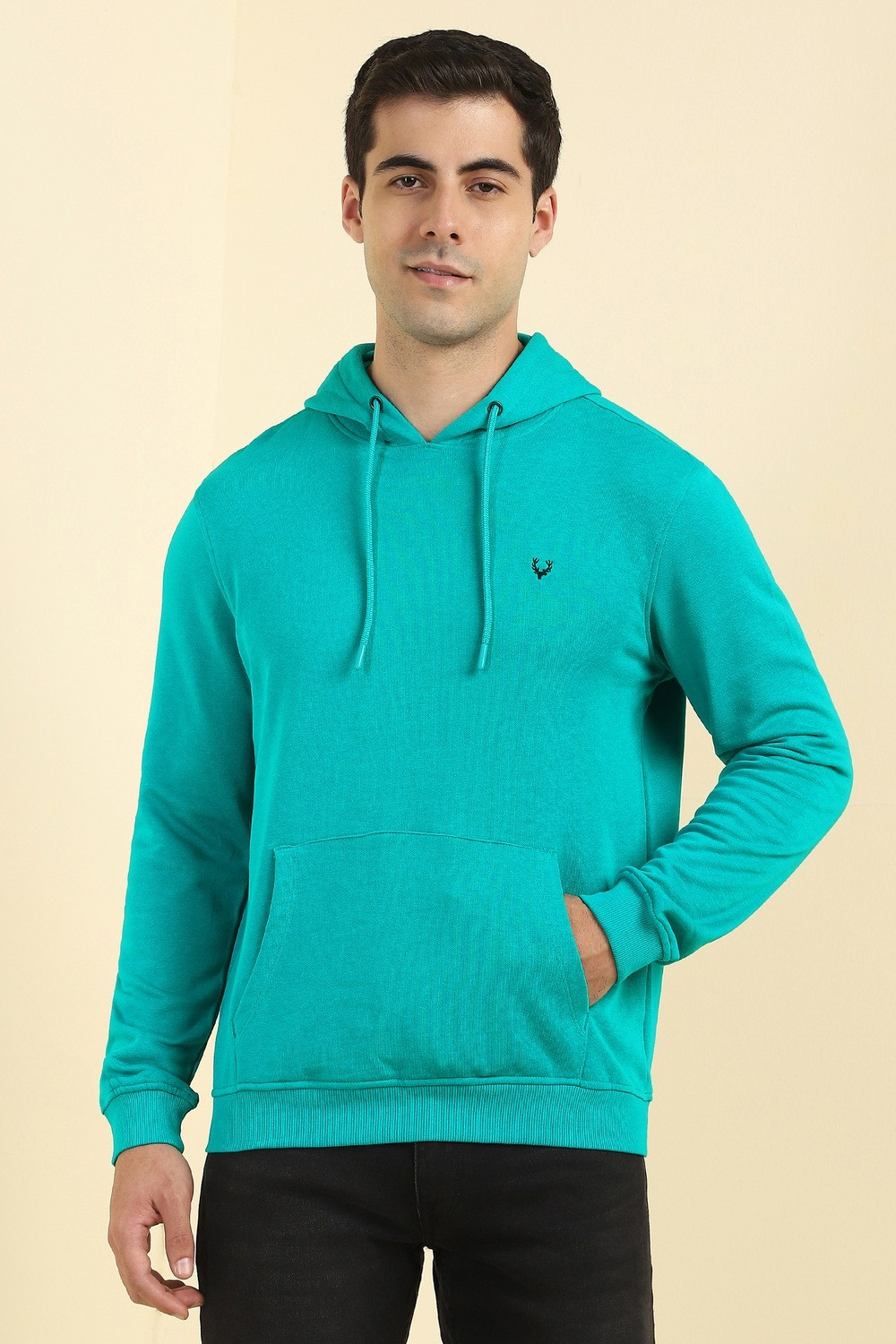 Image of Allen Solly Men Full Sleeve Solid Hooded Sweatshirt