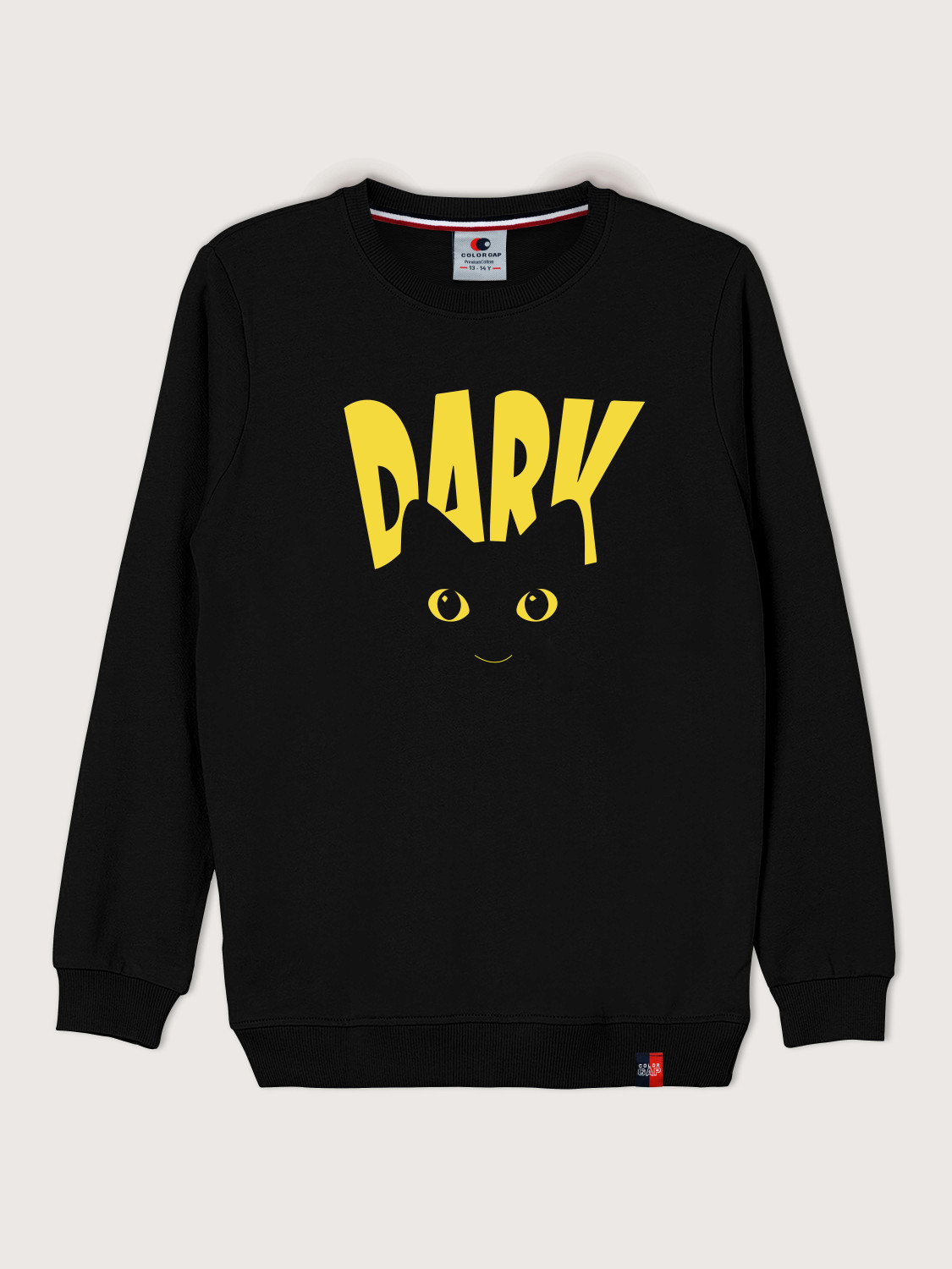COLOR GAP Full Sleeve Printed Boys Girls Sweatshirt Price History
