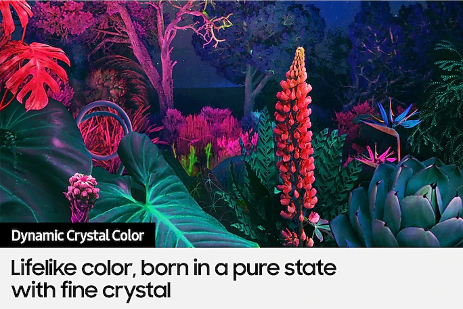 Image of Samsung 138 cm (55 inch) Ultra HD (4K) LED Smart Tizen TV