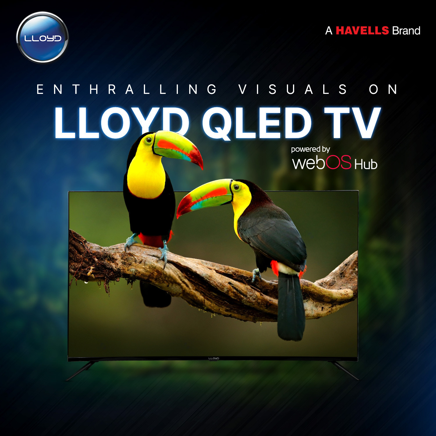 Image of Lloyd 109 cm (43 inch) QLED Ultra HD (4K) Smart WebOS TV