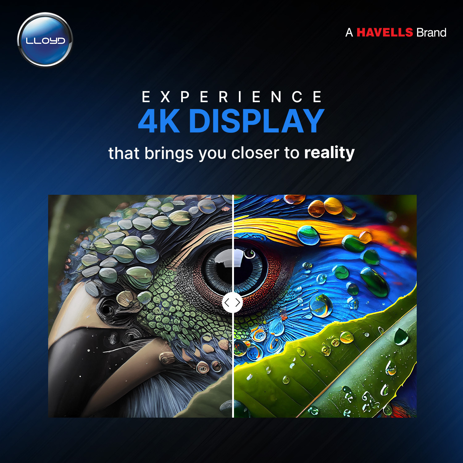 Image of Lloyd 109 cm (43 inch) QLED Ultra HD (4K) Smart WebOS TV