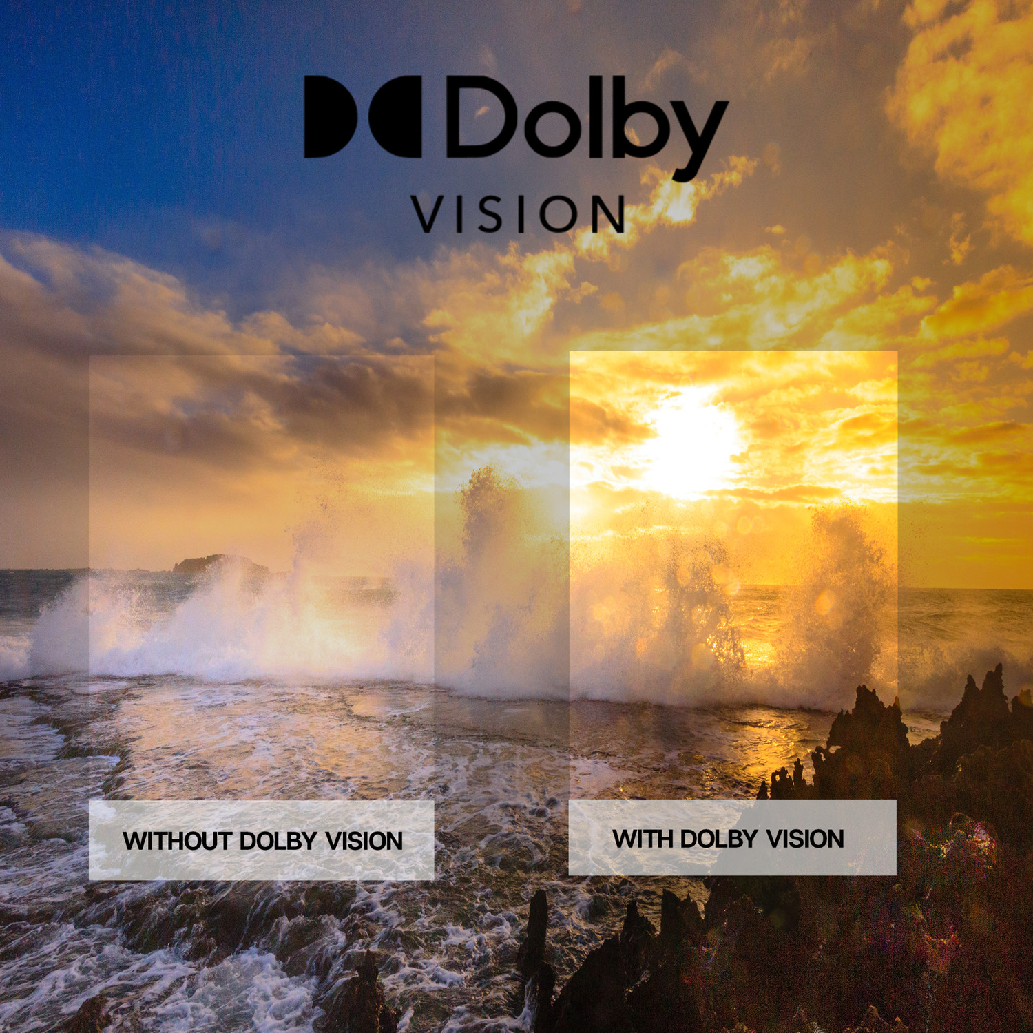 Image of Dyanora 109 cm (43 inch) Ultra HD (4K) LED Smart WebOS TV (DY-LD43U0S)