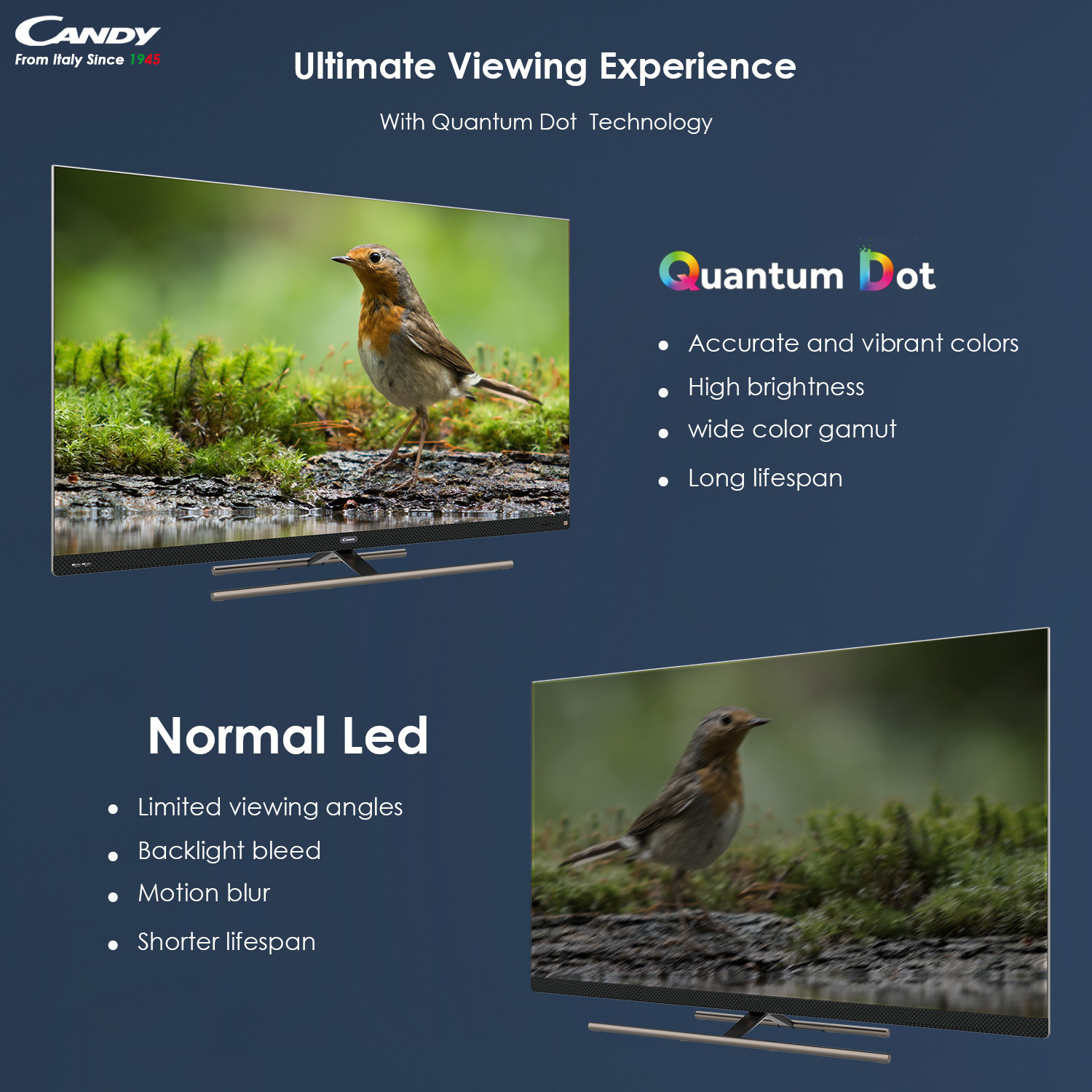 Image of CANDY 165.1 cm (65 inch) QLED Ultra HD (4K) Smart Google TV with Dolby Vision & Atmos IQ (CA65120HzQLED)