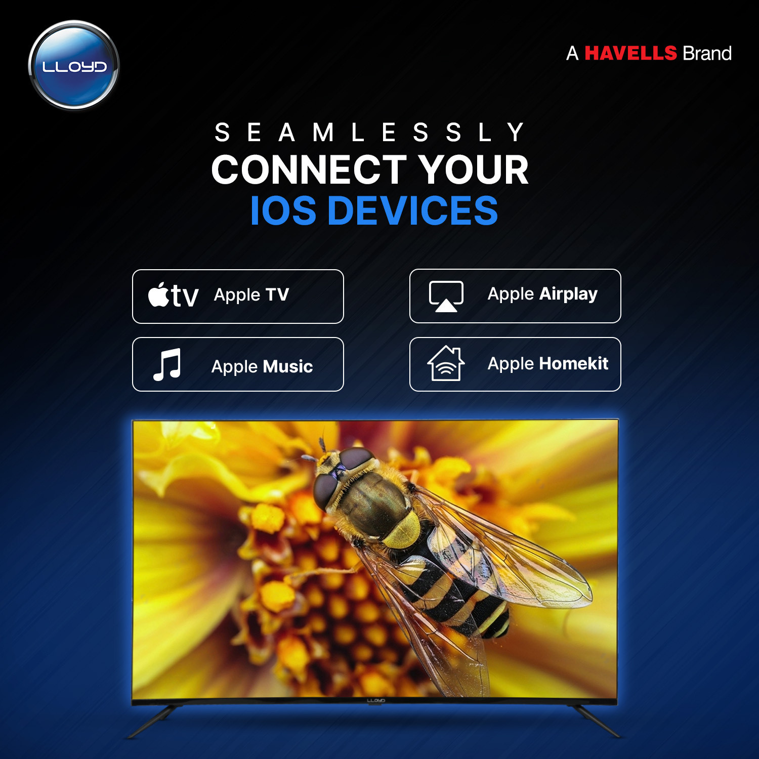 Image of Lloyd 109 cm (43 inch) QLED Ultra HD (4K) Smart WebOS TV