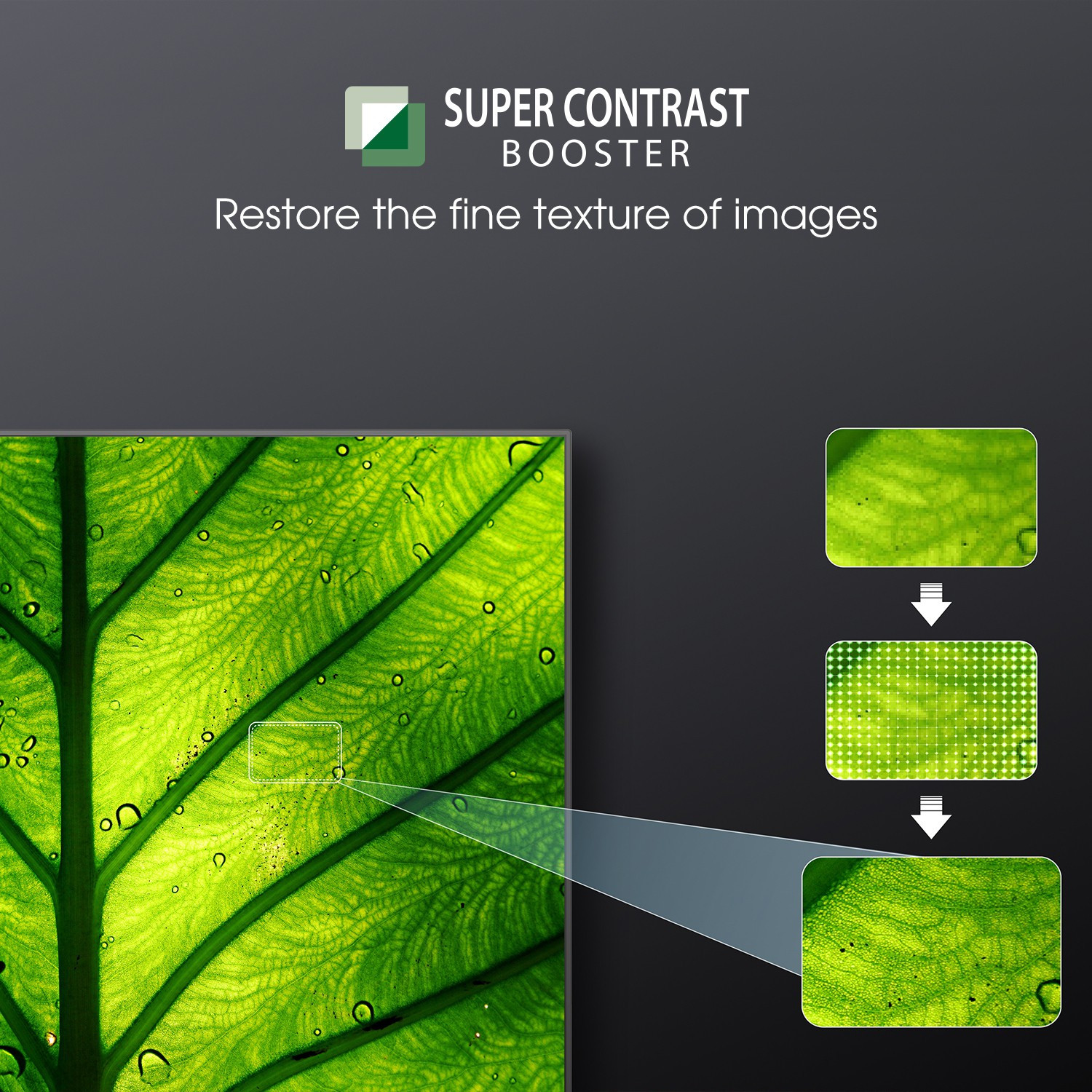 Image of TOSHIBA C350MP 108 cm (43 inch) Ultra HD (4K) LED Smart Google TV with Dolby Vision and Engine