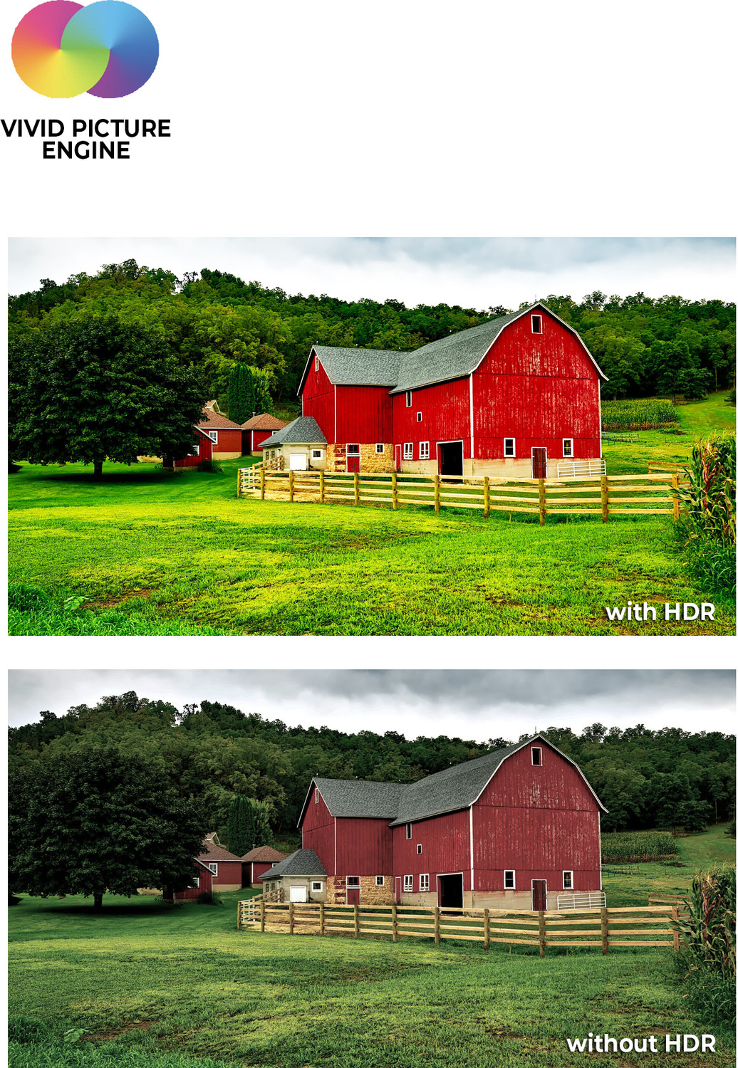 Image of Dyanora Sigma 108 cm (43 inch) Full HD LED Smart Linux TV with 40 Watt Box Speakers & Bezel-Less Design