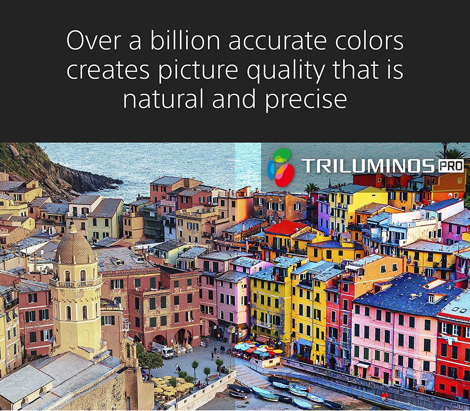 Image of SONY Bravia 189.3 cm (75 inch) Ultra HD (4K) LED Smart Android TV