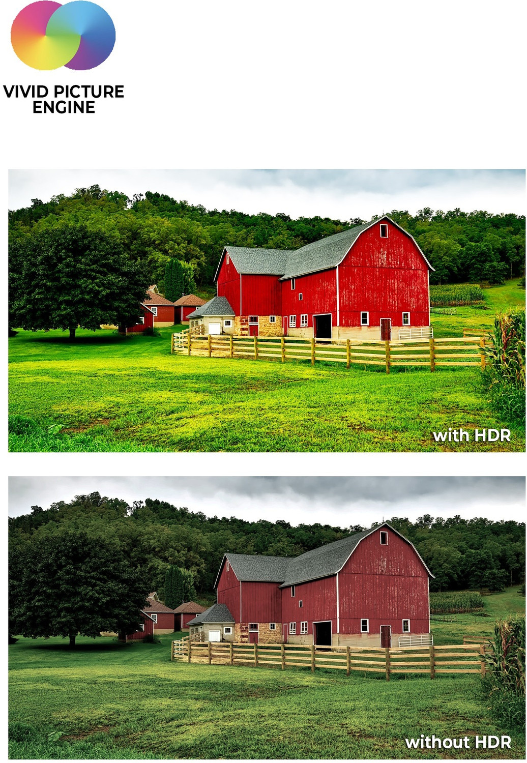 Image of Dyanora OMEGA 165 cm (65 inch) Ultra HD (4K) LED Smart Android TV with HDR 10, 60 Watt Dolby Surround Sound, Ultra Thin Frameless Design