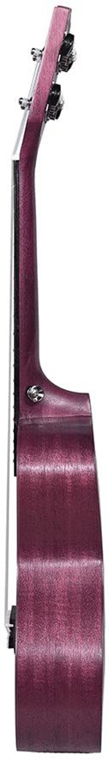 Image of KADENCE Concert Ukulele 23 inch Spring Summer Collection of Ukuleles- fluorocarbon strings Concert Ukulele