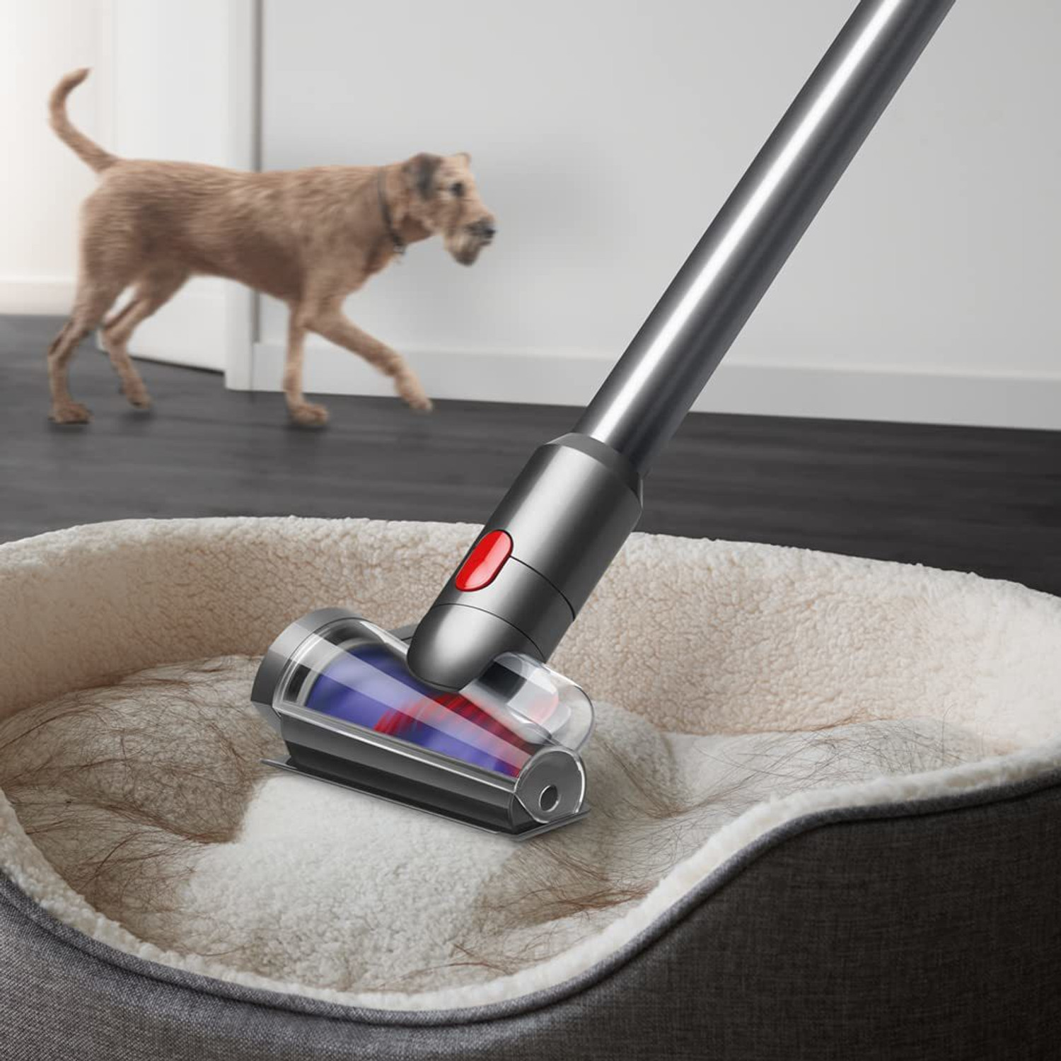 Image of Dyson 381356-01 Hand-held Vacuum Cleaner