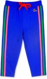 Cherry Crumble by Nitt Hyman Track Pant For Boys & Girls (Blue, Pack of 1)