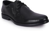 Massimo Italiano Derby For Men (Black , 8)