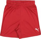 Puma Red Shorts for boys price in India 2018 from credible stores ...