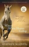 Where White Horses Gallop (English, Paperback, MACNEIL BEATRICE)